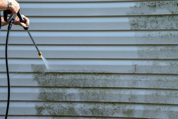 Trusted South Creek, WA Junk Removal Experts